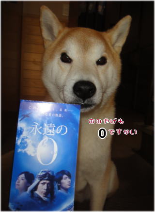 ゼロ1.jpg