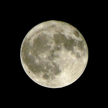 十五夜の月