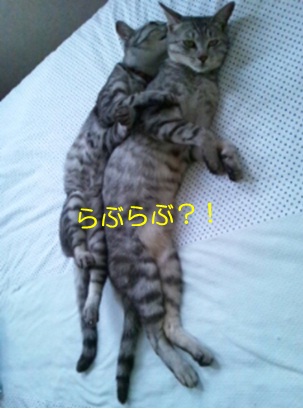 20120730_2.jpg