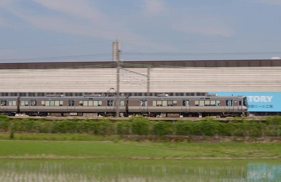 DSC_4730.JPG