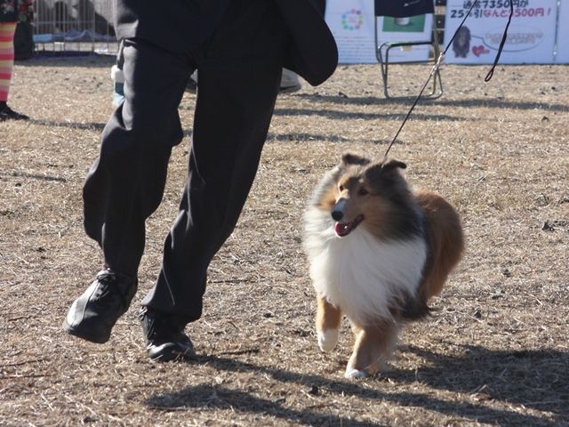 IMG_0511 - コピー.JPG