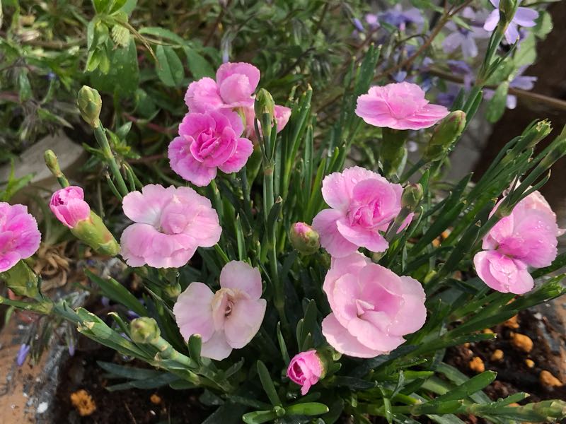 rblog-20190401163907-01.jpg