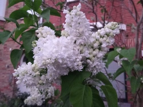 rblog-20180426225539-02.jpg