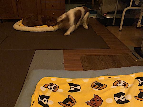 rblog-20180406014530-02.jpg