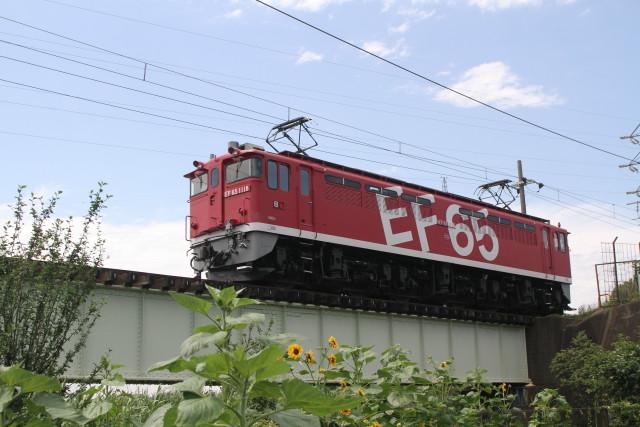 EF65 1118 国府津 ロングチキ工臨 返却と ヒマワリ3