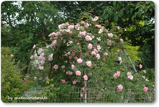 フランソワジュランヴィル1