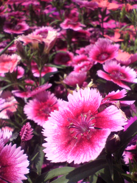 2011050811020000.jpg