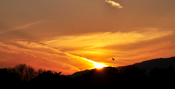 夕陽２