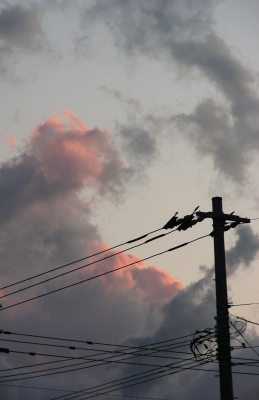 2017-09-25rain (5).JPG