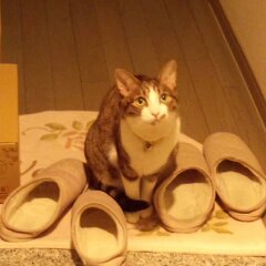 お帰りなさい