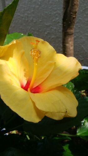 rblog-20180804041944-03.jpg