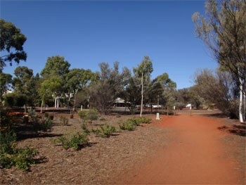 OZ709.jpg