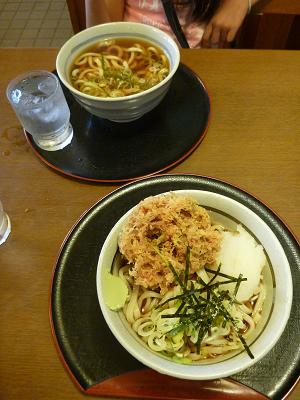 道の駅田原めっくんはうす 生桜えびかきあげおろしうどん