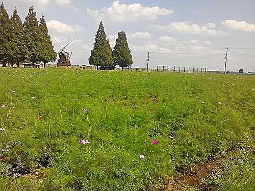rblog-20171002084855-01.jpg