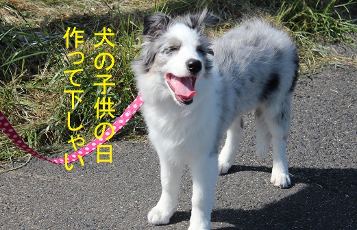 はーい