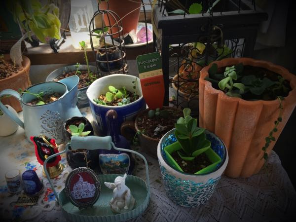 rblog-20160322133352-09.jpg