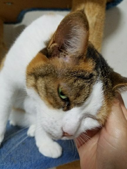 rblog-20180723010719-01.jpg