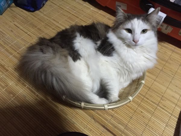 rblog-20150507142713-03.jpg