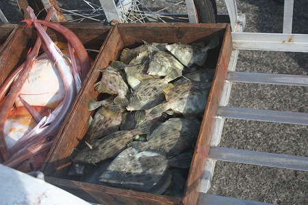 s-IMG_9282.jpg