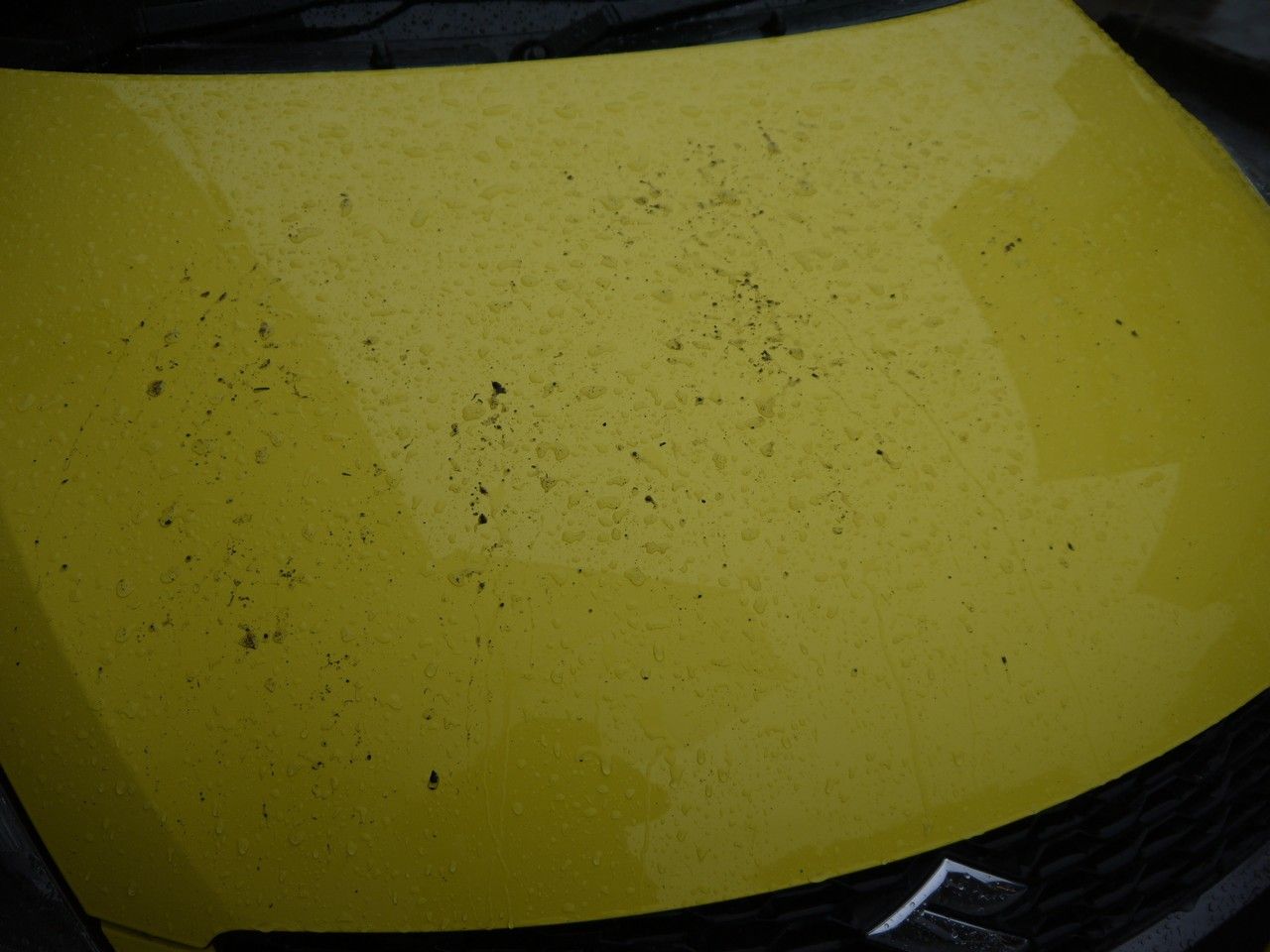 27ページ目の マジ水講座 お役立ち情報 マジックウォーター マジ水 のブログ 楽天ブログ