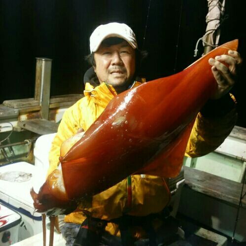 タルイカ 福井県越前港 釣船 心友丸 楽天ブログ