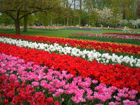 キューケンホフ公園