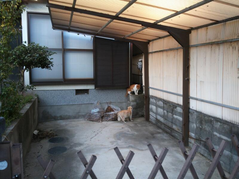 13538522340163.jpg