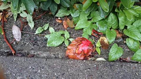 rblog-20140925140814-00.jpg