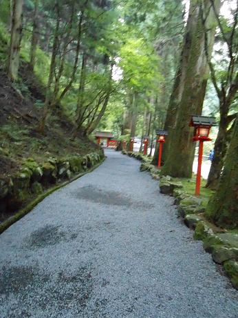 DSCN4671.jpg