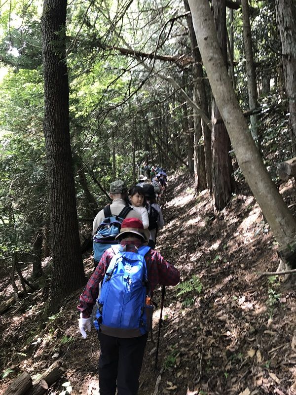 第9回醍醐山一斉登山・登山編 | 醍醐山と下部（しもべ）温泉 - 楽天ブログ