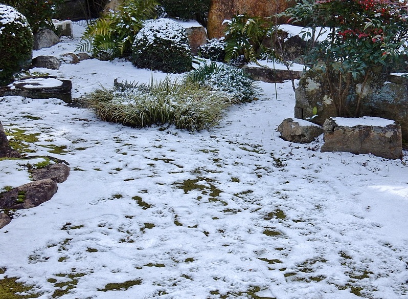 庭の雪4.JPG