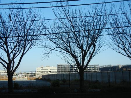 DSCN6687.JPG