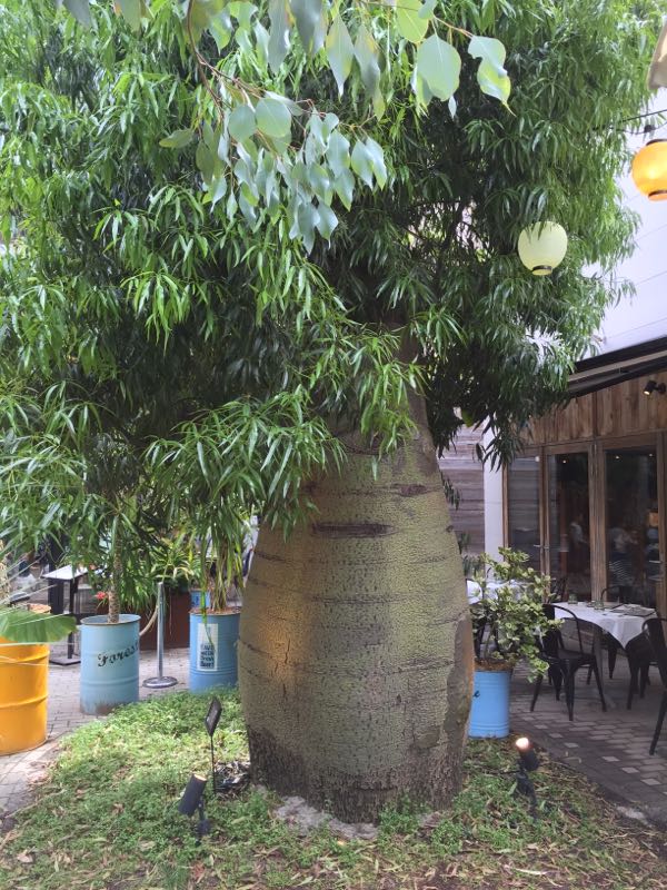 rblog-20150724130112-04.jpg