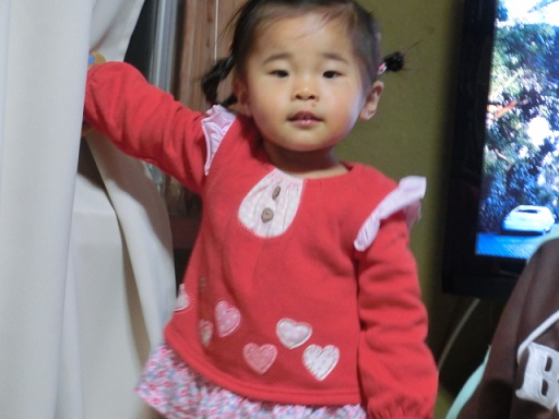 CIMG0954.JPG