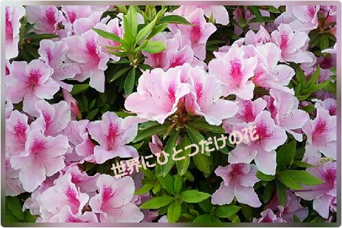 rblog-20160424174923-00.jpg