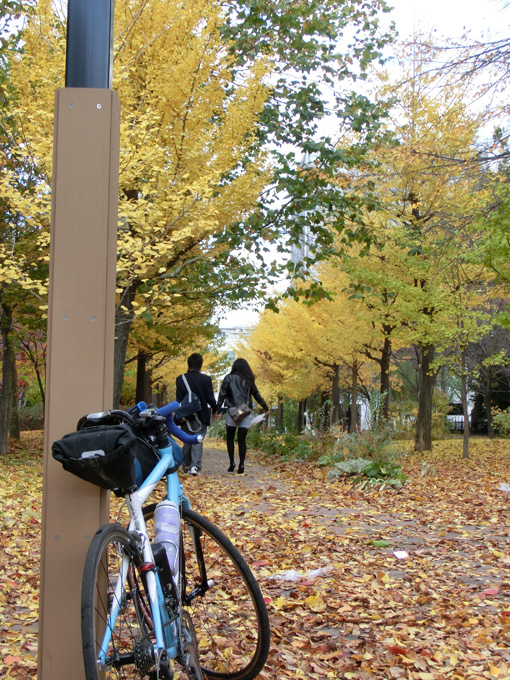 20121112永山記念公園