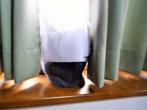 P1290002 (2) - コピー.JPG