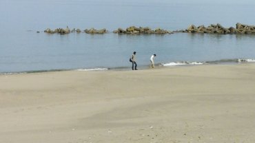 浜辺.jpg