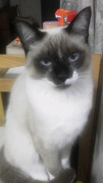 ライ