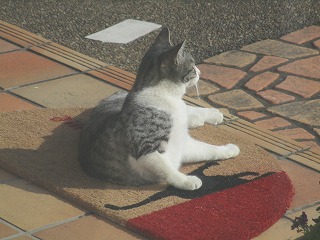 IMG_6690ss.jpg