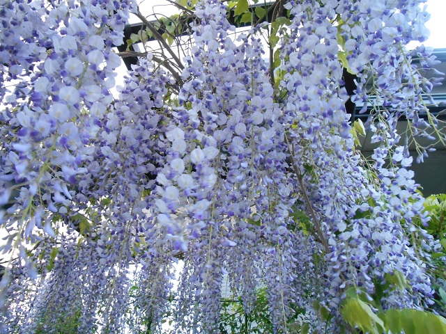 DSCN1633.JPG