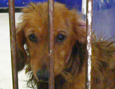 20140623e.jpg