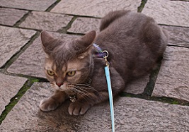IMG_3112-17.jpg
