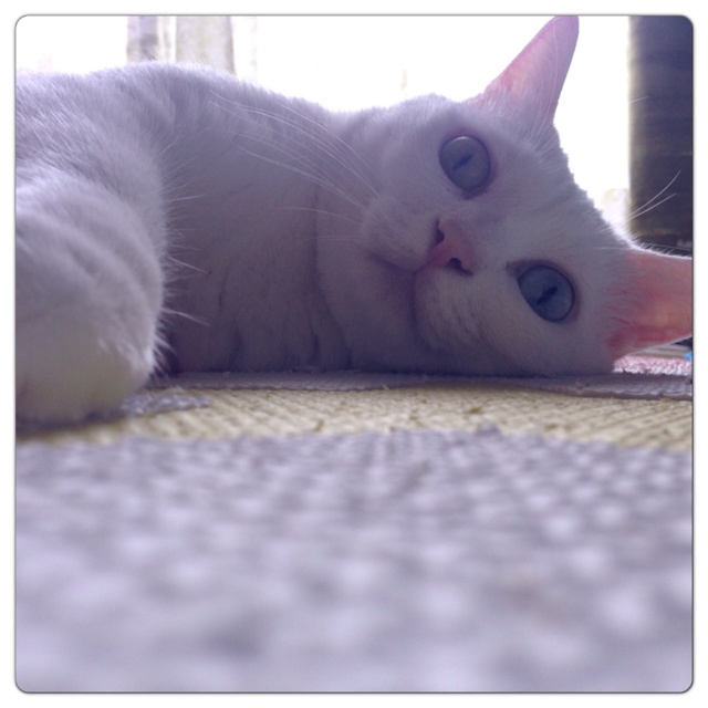 rblog-20130722003045-01.jpg