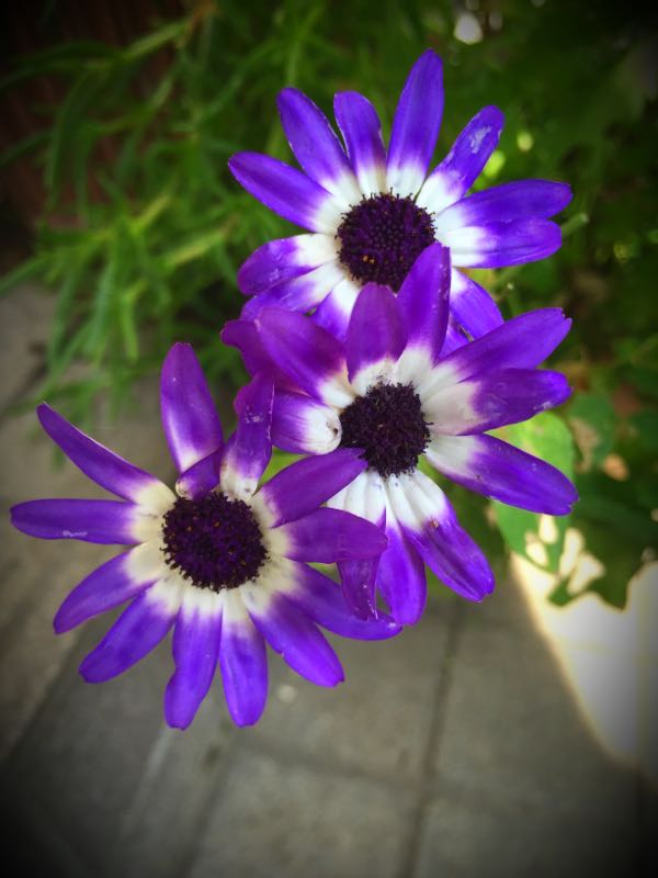 rblog-20160531203424-05.jpg