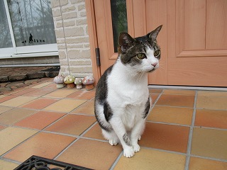 IMG_0571ss.jpg