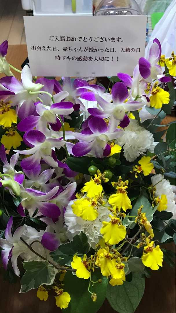 週と3日目 初めての妊娠 その時男性は 楽天ブログ