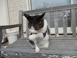 IMG_0457ss.jpg