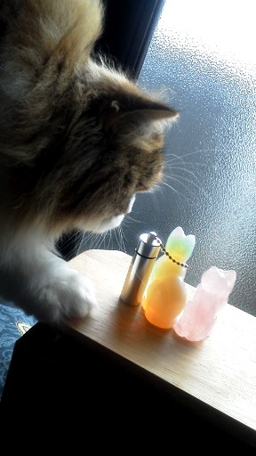 20140322095829.jpg