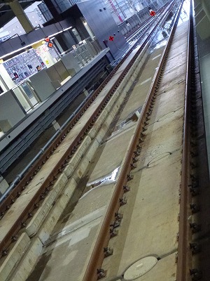 P1010034.jpg